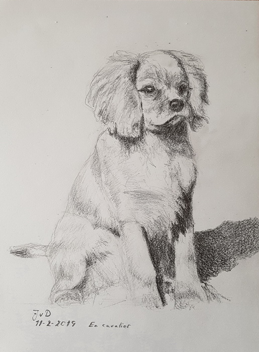 En cavalier